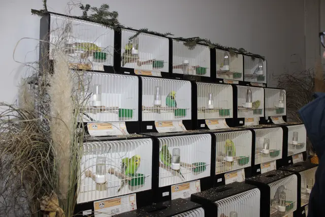 Foto: Walter Kellner