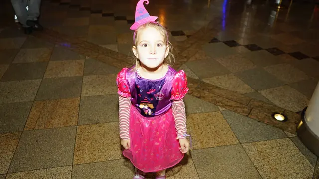 Foto: MeinBezirk Linz-Land/Huber