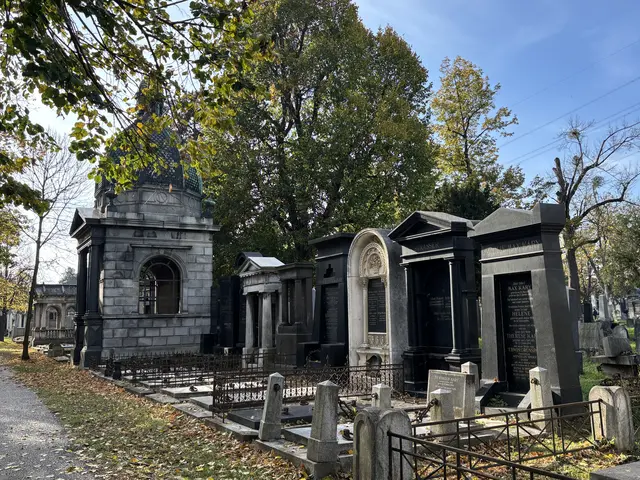 Foto: Antonio Šećerović/MeinBezirk