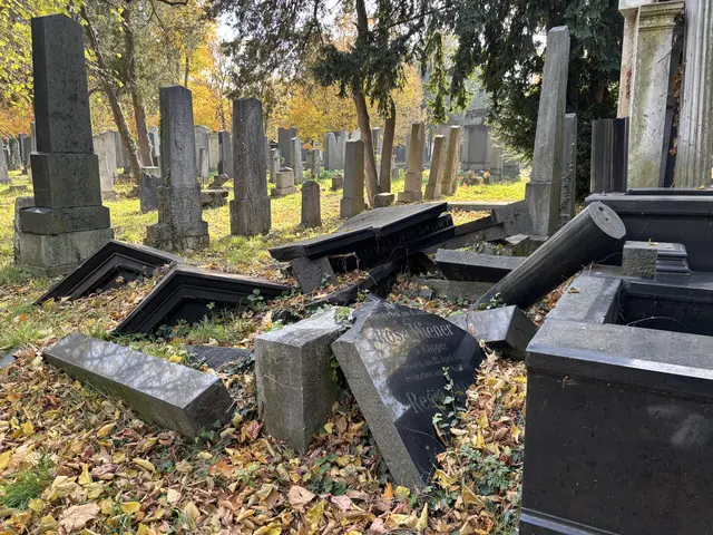 Foto: Antonio Šećerović/MeinBezirk