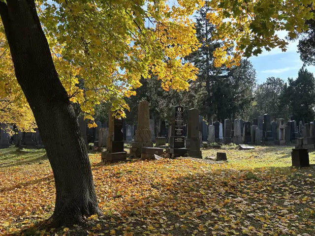 Foto: Antonio Šećerović/MeinBezirk