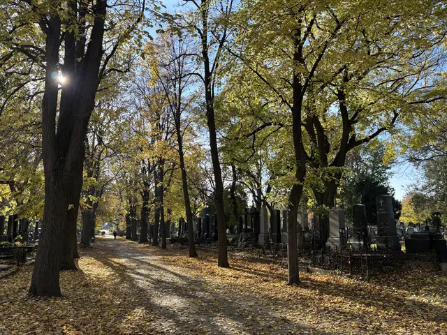 Foto: Antonio Šećerović/MeinBezirk