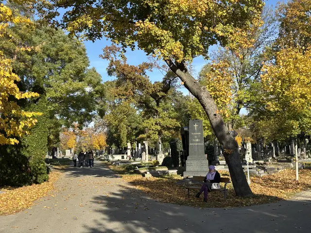 Foto: Antonio Šećerović/MeinBezirk