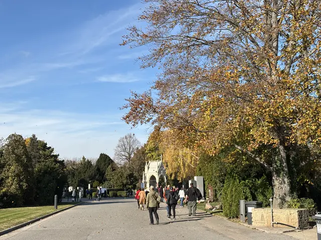 Foto: Antonio Šećerović/MeinBezirk