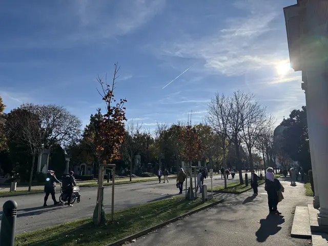 Foto: Antonio Šećerović/MeinBezirk