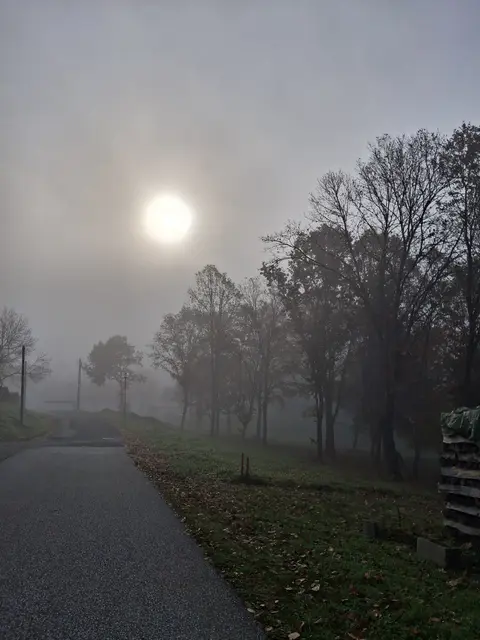 Um 8.43 noch etwas nebelig und düster, passt gut zu Allerheiligen. | Foto: Gold Michaela