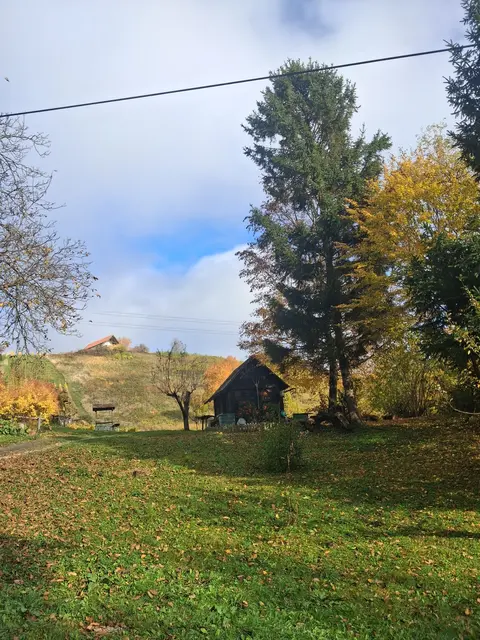 Vorbei an urigen Kellerstöckl .. | Foto: Gold Michaela