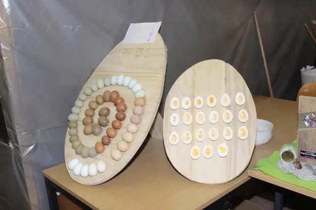 Foto: Walter Kellner