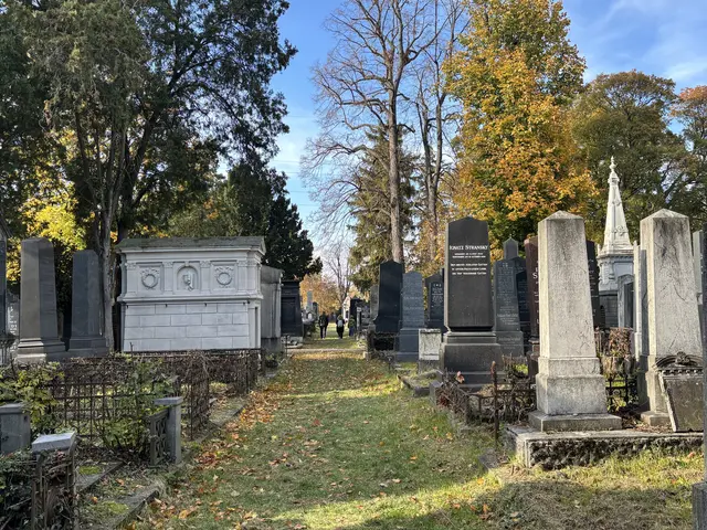 Foto: Antonio Šećerović/MeinBezirk