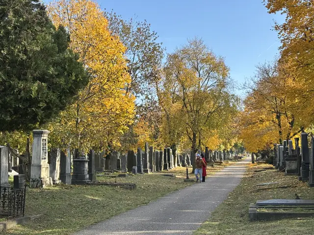 Foto: Antonio Šećerović/MeinBezirk