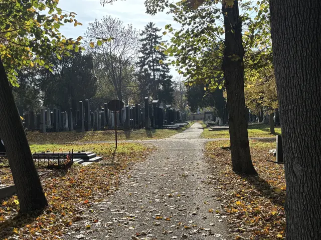 Foto: Antonio Šećerović/MeinBezirk