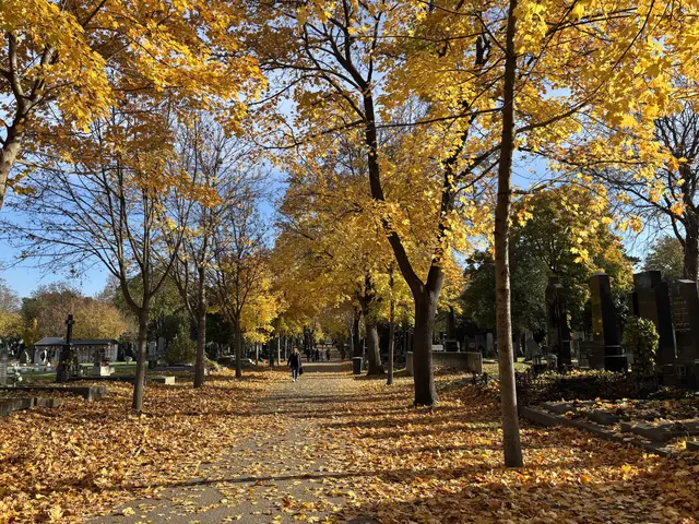 Foto: Antonio Šećerović/MeinBezirk