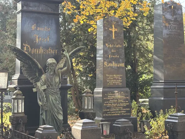 Foto: Antonio Šećerović/MeinBezirk