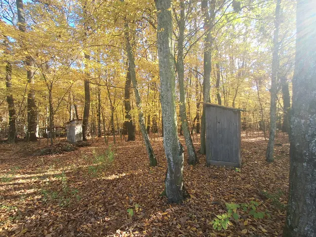 I glaub, das sind Plumpsklos von früher. Oder was meint ihr? Vivsavis sind nämlich auch Kellerstöckl | Foto: Gold Michaela