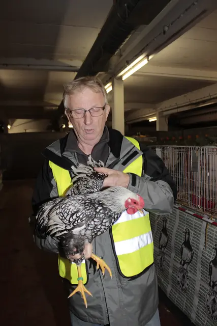 Foto: Walter Kellner