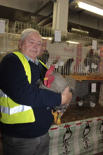 Foto: Walter Kellner