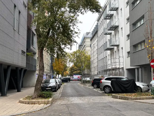 Foto: Zur Verfügung gestellt