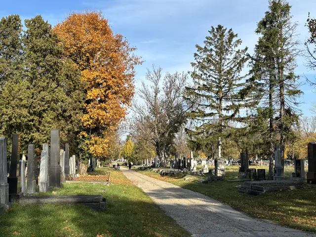 Foto: Antonio Šećerović/MeinBezirk