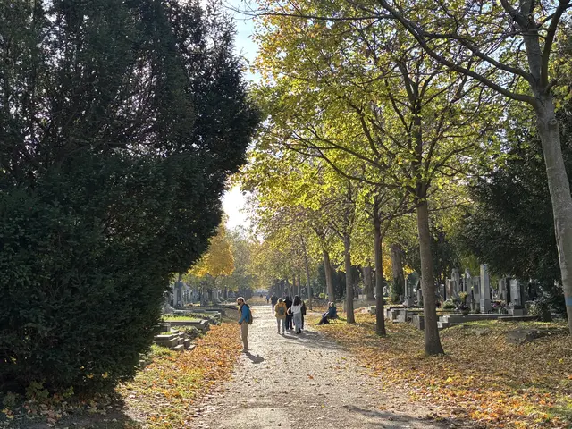 Foto: Antonio Šećerović/MeinBezirk