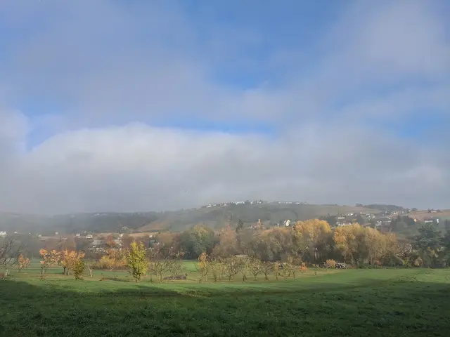 Blick auf den Eisenberg | Foto: Gold Michaela