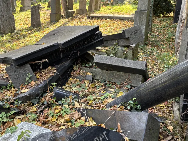 Foto: Antonio Šećerović/MeinBezirk