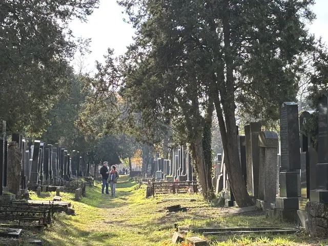 Foto: Antonio Šećerović/MeinBezirk