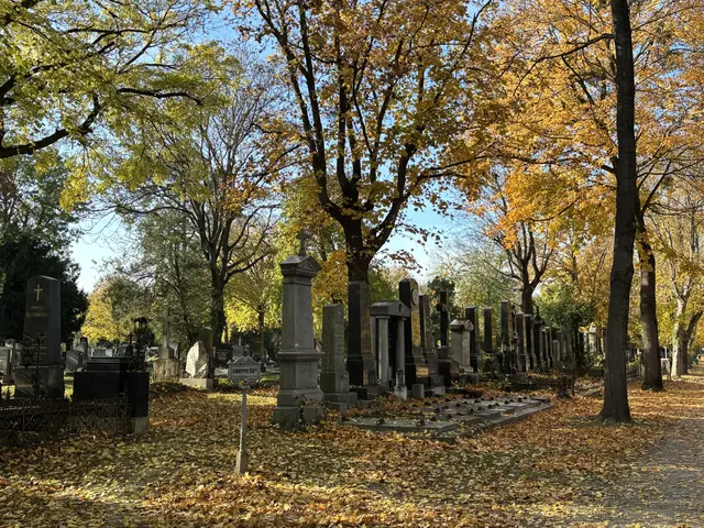 Foto: Antonio Šećerović/MeinBezirk