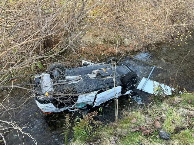 Der Pkw-Lenker kam von der Fahrbahn ab und stürzte in den Stanzbach. | Foto: FF Edelsdorf