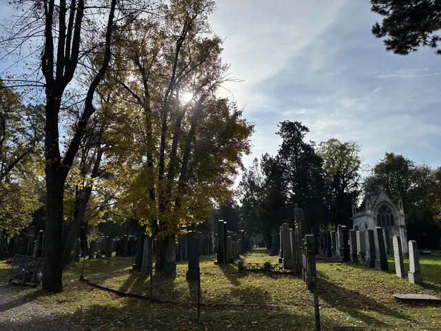 Foto: Antonio Šećerović/MeinBezirk