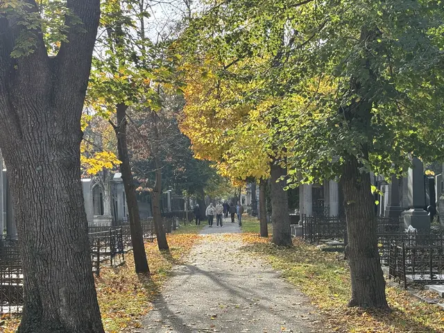 Foto: Antonio Šećerović/MeinBezirk