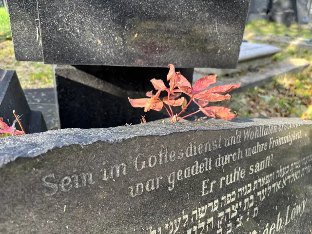 Foto: Antonio Šećerović/MeinBezirk