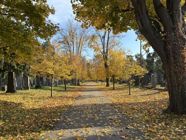 Foto: Antonio Šećerović/MeinBezirk