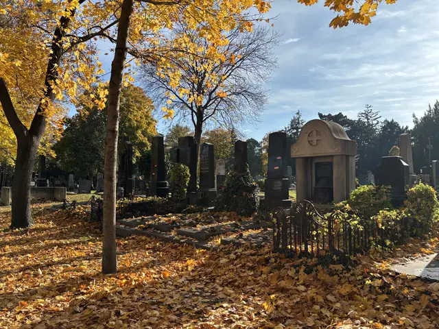 Foto: Antonio Šećerović/MeinBezirk