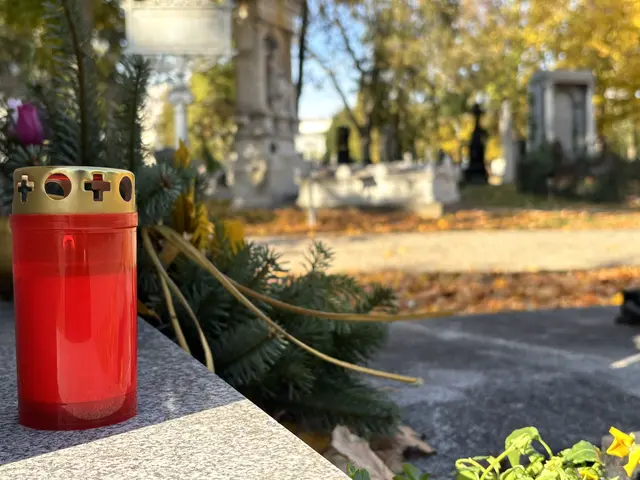 Foto: Antonio Šećerović/MeinBezirk