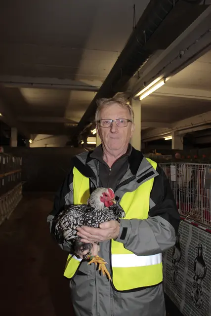 Foto: Walter Kellner