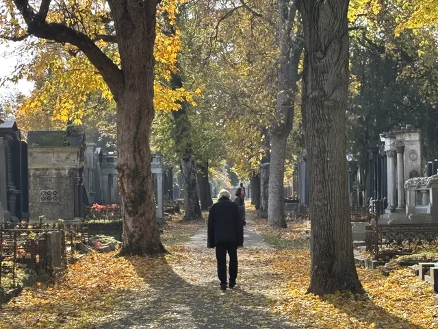 Foto: Antonio Šećerović/MeinBezirk