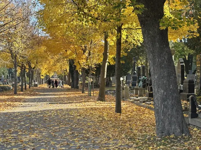 Heute, am 1. November, zeigt sich der Friedhof von seiner goldig-herbstlichen Seite.  | Foto: Antonio Šećerović/MeinBezirk