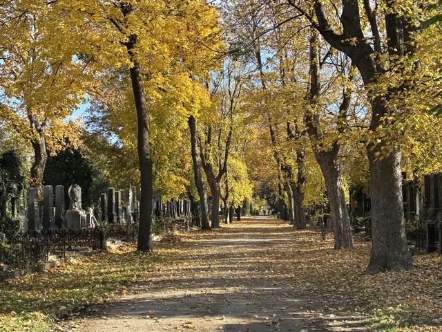 Foto: Antonio Šećerović/MeinBezirk