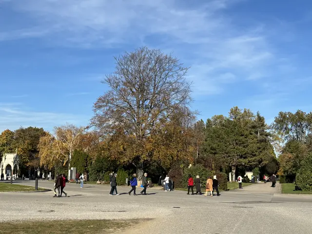 Foto: Antonio Šećerović/MeinBezirk