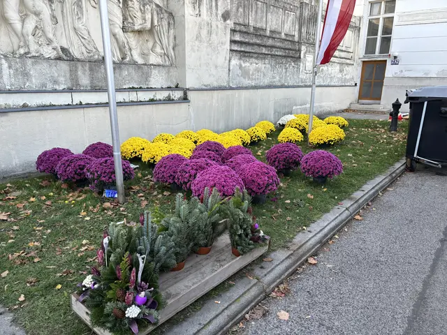 Foto: Antonio Šećerović/MeinBezirk