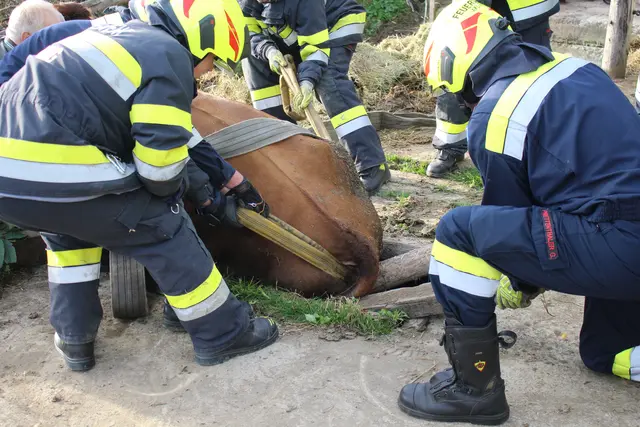 Foto: HFM Patrick Marcher