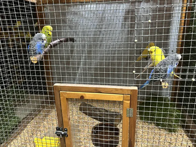 Foto: Daniel Schmidt