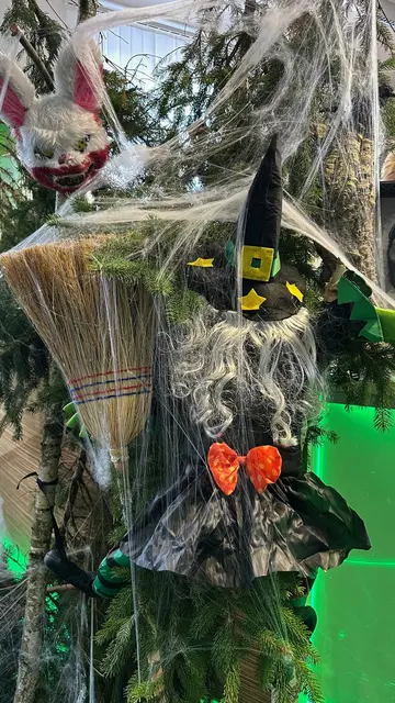 Foto: Golfclub Stärk.Linz.Ansfelden