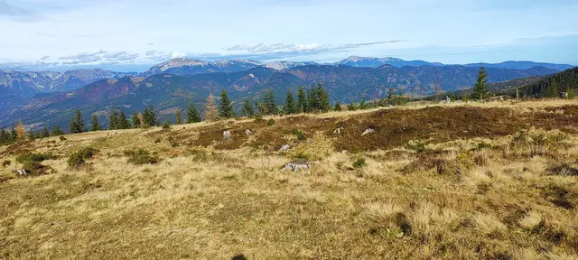 Rax und Schneeberg im Hintergrund, davor die Berge im Mürztal... | Foto: I.Wozonig