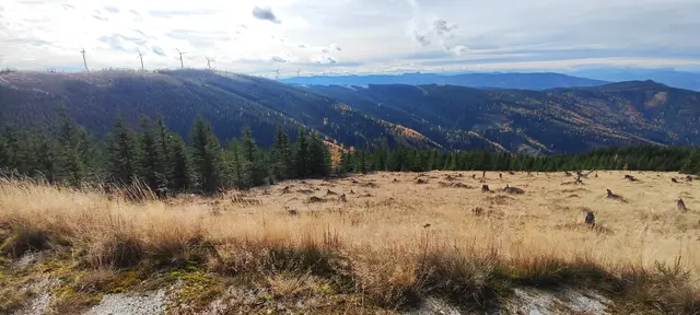 der Windpark Steinriegel besteht aus 21 Windrädern, auf der Bergkuppe steht ein Gipfelkreuz... | Foto: I.Wozonig
