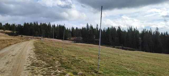die hohen Stangen sind hier zur Kennzeichnung des Weges nötig, da gibt es oft meterhohe Schneeverwehungen... | Foto: I.Wozonig
