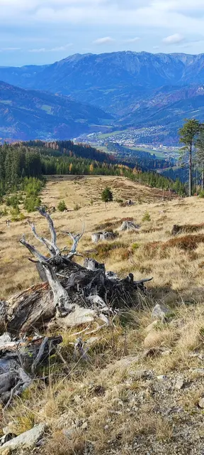 jetzt gehen wir nicht die Wiesen hinunter sondern gehen gemütlich die Straße weiter (das ist auch die Mountainbikestrecke)... | Foto: I.Wozonig 
