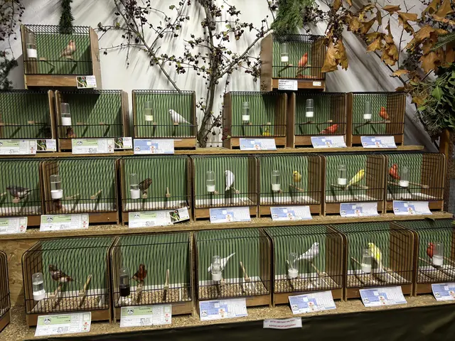 Foto: Daniel Schmidt