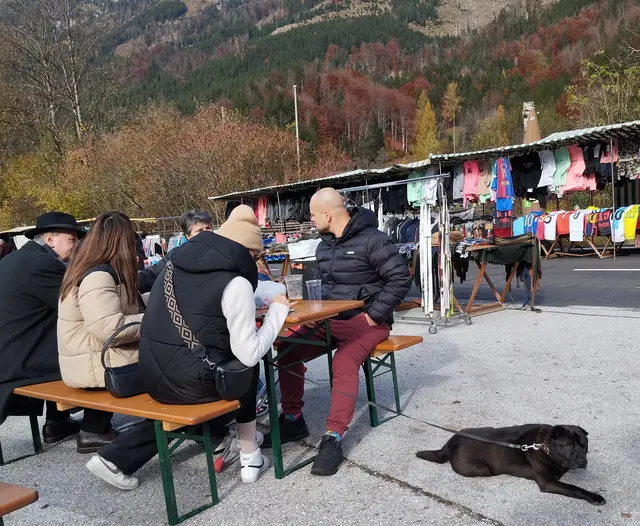 Foto: Veronika Frank