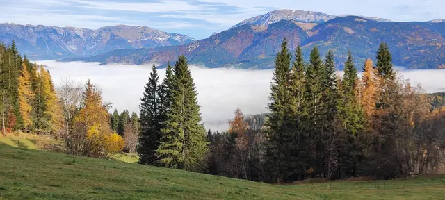 Mürzzuschlag liegt im Nebel... | Foto: I.Wozonig